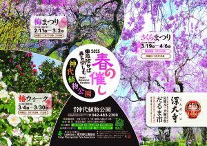 神代植物公園　春の催し～東風吹かば 春を愉しむ～「梅まつり」「椿ウィーク」「さくらまつり」