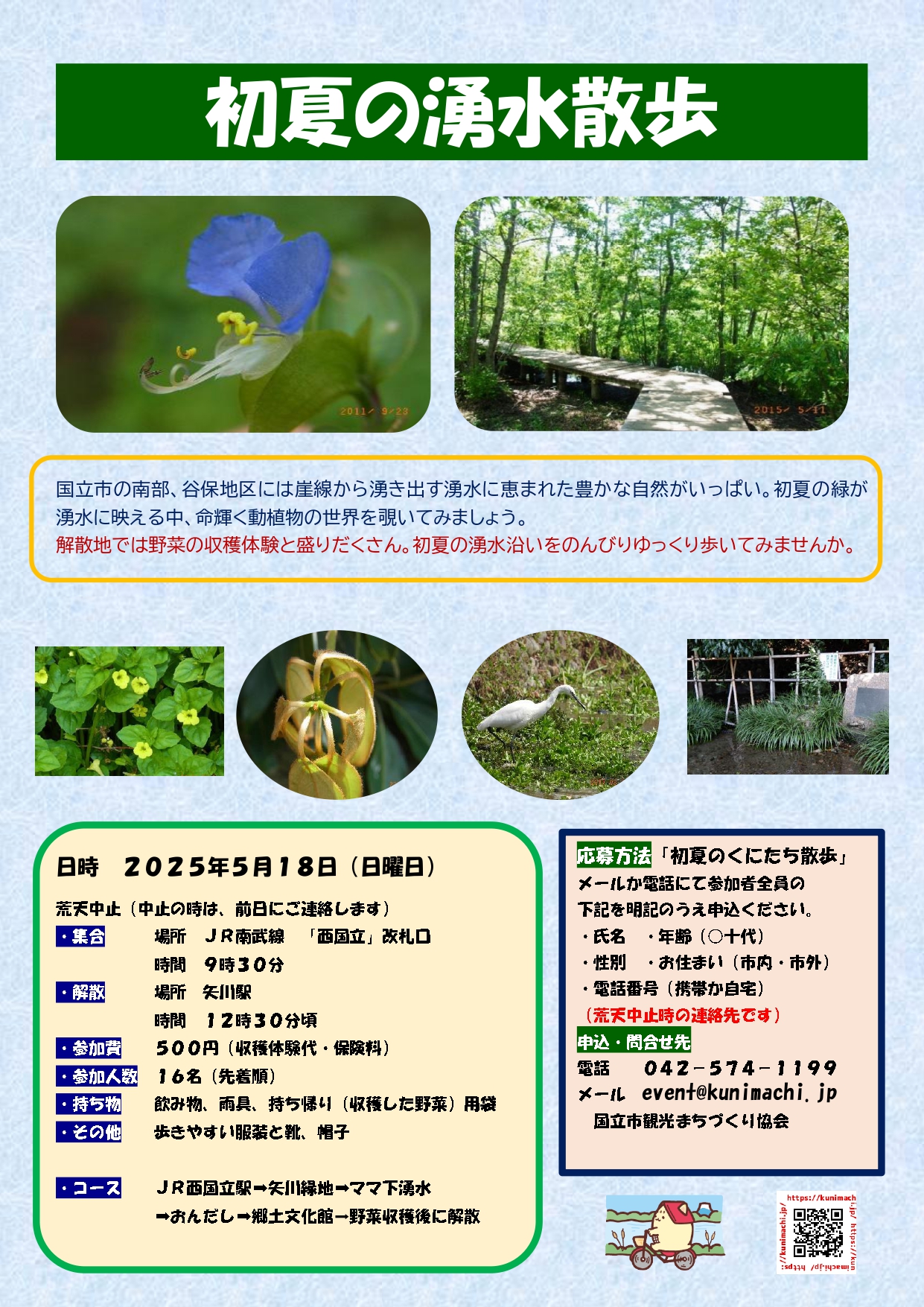初夏の湧水散歩