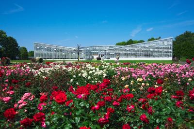 Jindai Botanical Gardens 