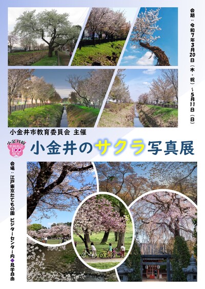 小金井のサクラ写真展