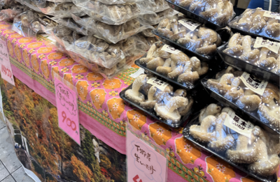 Nishitokyo City Sister cities, Friendship cities sightseeing produce exhibits