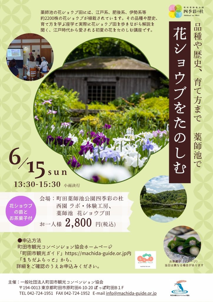 花ショウブをたのしむ画像