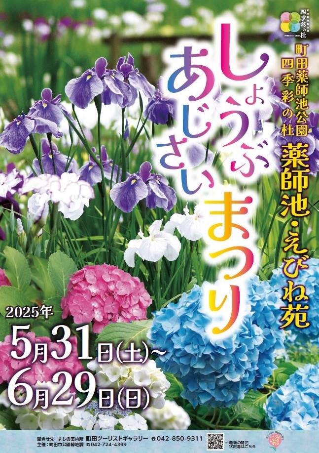 Machida Yakushiike Park Shikisai no Mori Iris and Hydrangea Festival