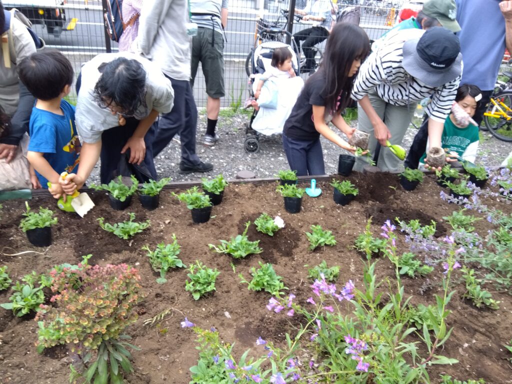 Recruitment of participants for Kajino Park flower bed planting stand
