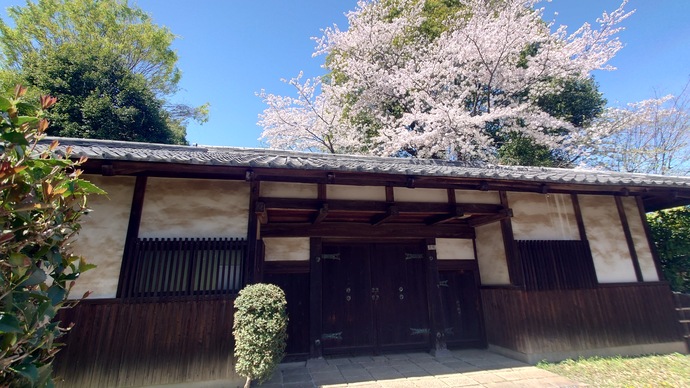 National Tangible Cultural Property Former Yoshioka Residence Spring Open House