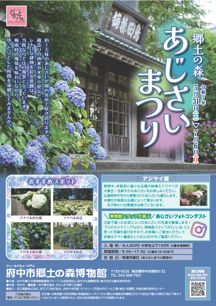 郷土の森あじさいまつり画像