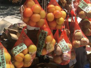 Plum Festival