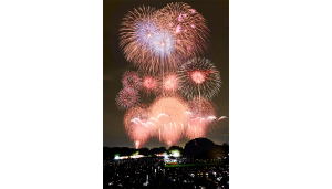 Tachikawa Showa Kinen Park Fireworks