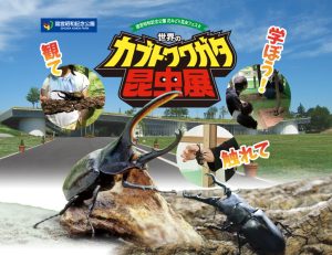 花みどり昆虫フェスタ / 世界のカブト・クワガタ昆虫展