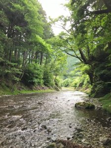 Satoyama Retreat and River Creature Observation Eco-tour on the Minami-Aki River