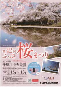 第43回ふっさ桜まつり画像