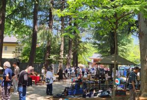 立川・諏訪神社 多摩骨董市 ―杜の中の青空美術館―画像