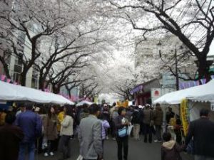 第41回本町桜まつり