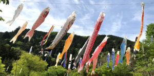 新緑祭2026画像