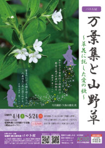 パネル展 万葉集と山野草 ～草花に託した愛の歌～画像