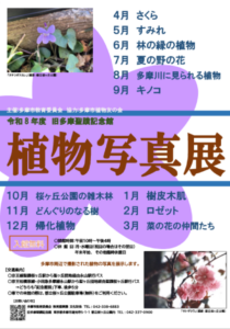 旧多摩聖蹟記念館　植物写真展画像