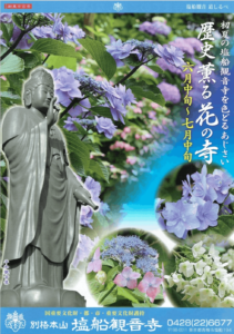 塩船観音寺　あじさい画像