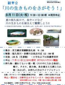 観察会「川の生きものをさがそう！」