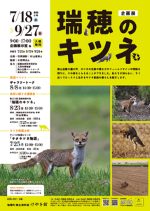 企画展 瑞穂のキツネ画像