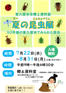 夏の昆虫展～50年前の東久留米でみられた昆虫～画像