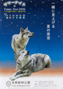 サマーナイト＠Tama Zoo 2026
