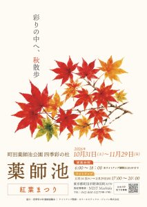 薬師池 紅葉まつり 2026