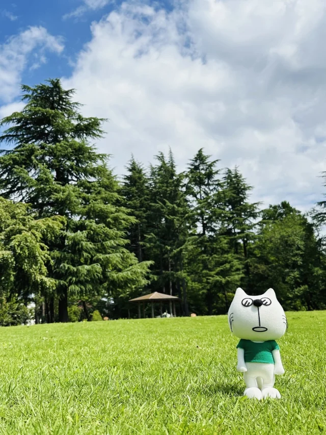 #瑞穂町 にある#みずほエコパーク に行ってきたにゃ！🚶‍♂️

町民の健康を増進するとともに、自然保護やリサイクル等の環境学習を実践する場として整備された公園なんだにゃ～✨

園内は緑が豊かで、#ユリ や#ポーチュラカ など季節の花々が楽しめるほか、ビオトープの#未来里池 や無料の#ドッグラン もあるにゃ！
※ポーチュラカの写真は昨年撮影

●所在地
西多摩郡瑞穂町大字箱根ケ崎1736
●アクセス
JR八高線「箱根ヶ崎駅」より徒歩約7分

#たま発 #公園 #散歩 #花  #リュウゼツラン #自然保護 #環境学習 #東京 #多摩 #tokyo #tama #多摩の魅力発信プロジェクト #たまらんにゃー