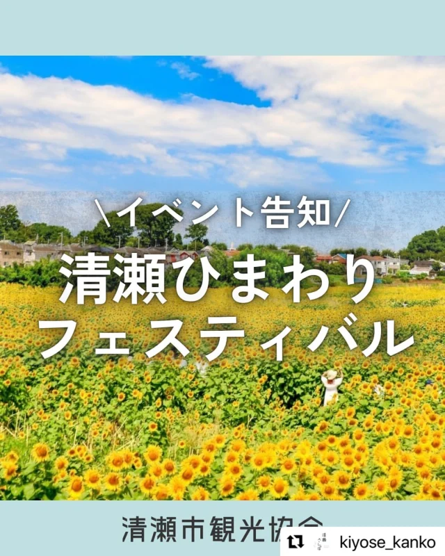 清瀬ひまわりフェスティバルが8月3日（日）まで開催中！🌻
ぜひ行ってみてにゃ～！✨

#repost @kiyose_kanko
・・・
あとから見返せるように右下のマークをタップして保存してくださいね♪

ーーーーーーーーーーーーーーーーーーーーーーーーー

7/26(土)～8/3(日)の間、「清瀬ひまわりフェスティバル」が開催されます。
広大な農地に約10万本ものひまわりが咲き誇り、毎年多くの来場者が訪れます。
地元の野菜や特産品の販売、ひまわりを背景にした写真スポットなど、みどころが盛りだくさん！
夏の夏を感じられるひまわりフェスティバル、ぜひご来場ください♪

ーーーーーーーーーーーーーーーーーーーーーーーーー

清瀬市観光協会公式アカウントでは、おでかけ・イベント情報を発信中です。

フォローしてまち歩きの参考にしてくださいね♪

▼▽▼

@kiyose_kanko

ーーーーーーーーーーーーーーーーーーーーーーーーー

#清瀬 #東京都清瀬市 #西武池袋線 #夏イベント #清瀬ひまわりフェスティバル #ひまわり #きよせ散歩 #たま発